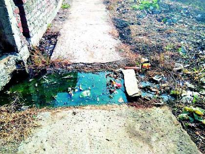 Due to the death of dengue, the drains are not cleaned | डेंग्युने मृत्यू होऊनही नाल्यांची साफसफाई नाही