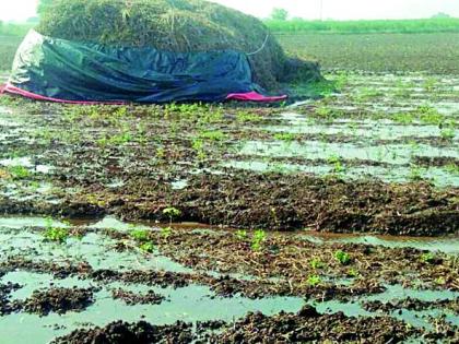 Siege of soybeans in the canal water field | कालव्याच्या पाण्याचा शेतातील सोयाबीनच्या ढिगाला वेढा