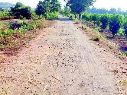  When will the fate of Ashti-Kinnhala road be bright? | आष्टी-किन्हाळा रस्त्याचे भाग्य उजळणार कधी?