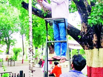 CCTV eyes on Bapu's ashram | बापूंच्या आश्रमावर राहणार सीसीटीव्हीची नजर