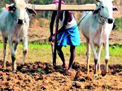  Accept the current policy of 150% increase in the farmland | शेतमालाला १५० टक्के भाव वाढीचे कायम धोरण स्वीकारा