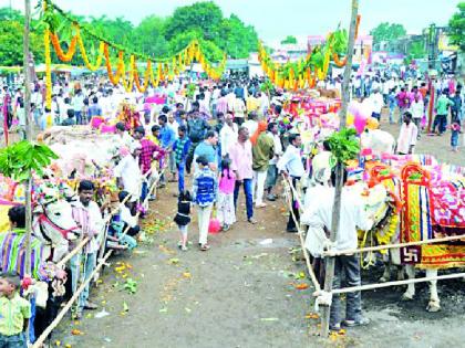The power of the farmers, the life of the farmers became cheap | सत्तेची मस्ती, शेतकऱ्यांची जिंदगी झाली सस्ती The power of the farmers, the life of the farmers became cheap | सत्तेची मस्ती, शेतकऱ्यांची जिंदगी झाली सस्ती