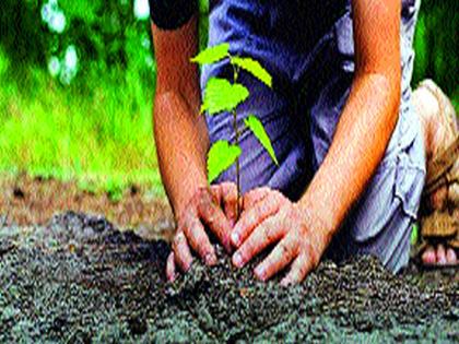  Municipal corporation to fulfill the objectives of tree plantation | वृक्षलागवडीच्या उद्दिष्टपूर्तीसाठी महापालिकेची उसनवारी