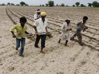 Cotton growers depend on government purchase | कापूस उत्पादक शेतकरी शासकीय खरेदीवरच अवलंबून