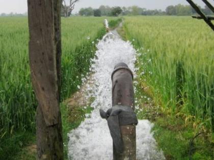 Loss of 2.5 lakh farmers due to power pump failure | कृषी पंप वीज जोडणीअभावी अडीच लाख शेतकऱ्यांचे नुकसान