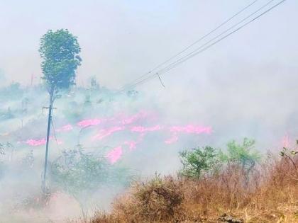 Fire in Popatkhed area near Melghat Tiger Project | मेळघाट व्याघ्र प्रकल्पालगत पोपटखेड परिसरात वणवा