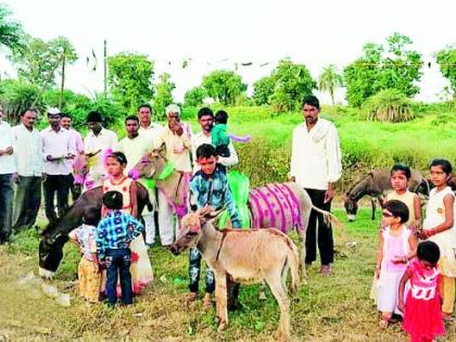 Donkeys Pola at Palskhed | पळसखेड येथे भरला गाढवांचा पोळा