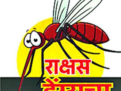 More than 35 patients of Dengue are positive | डेंग्यूचे आणखी ३५ रुग्ण पॉझिटिव्ह