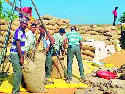 Give the grain errors immediately, call the farmers to the government | धानाचे चुकारे त्वरित द्या, शेतकऱ्यांची शासनाला हाक