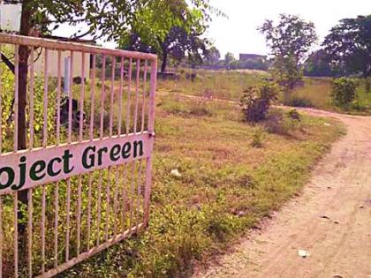 Mohadi's 'Project Green' came to an end in the area | मोहाडीचा ‘प्रोजेक्ट ग्रीन’ परिसर झाला पुन्हा पडीक Mohadi's 'Project Green' came to an end in the area | मोहाडीचा ‘प्रोजेक्ट ग्रीन’ परिसर झाला पुन्हा पडीक