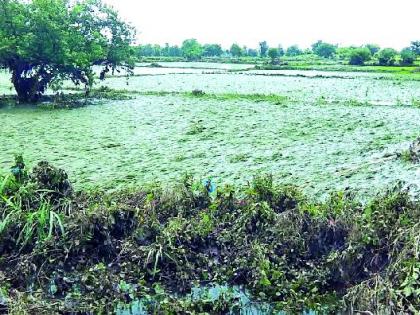 Floods are receding in the district but the crisis persists | जिल्ह्यात पूर ओसरतोय पण संकट कायम Floods are receding in the district but the crisis persists | जिल्ह्यात पूर ओसरतोय पण संकट कायम