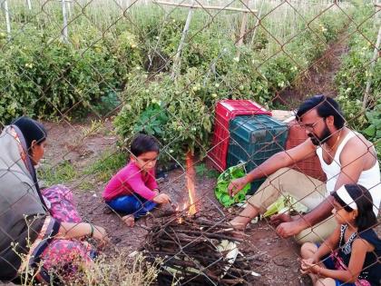 Balaji did modern farming after graduation; Earns an annual income of fifteen lakhs | पदवीनंतर बालाजीनं केली आधुनिक शेती; वर्षाला मिळवितो पंधरा लाखांचं उत्पन्न