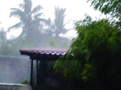 Vasai, Nalasopara, Virar, in the first rain | वसई, नालासोपारा, विरार पहिल्याच पावसात जलमय