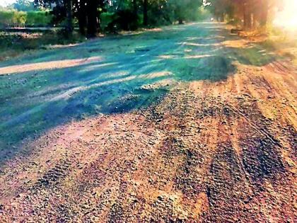 In Dhanora-Murumgaon road pothole | धानोरा-मुरूमगाव मार्ग खड्ड्यात In Dhanora-Murumgaon road pothole | धानोरा-मुरूमगाव मार्ग खड्ड्यात