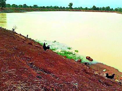  Increase in the storage in the ponds | तलावातील जलसाठ्यात वाढ