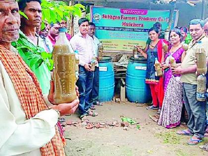 Organic kidney controllers were created by farmers | शेतकऱ्यांनी तयार केले सेंद्रीय किडनियंत्रक