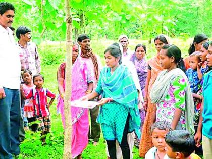 Sondalongodi tree plantation village | सोंदलागोंदी झाडांना राख्या बांधणारे गाव