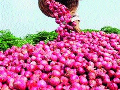 Lasalgaon Market Committee onion prices fell by Rs | लासलगांव बाजार समितीत कांदा भावात २५०० रूपयांची घसरण सर्वाधिक भाव ५२११