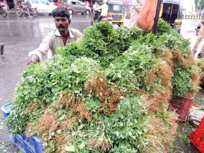 Half of the palebajas in the Satara market ...! | साताऱ्याच्या बाजारपेठेत पालेभाज्यांचे अर्धशतक...!