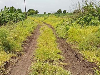 Farmers struggle for lack of roads | रस्त्याअभावी शेतकऱ्यांचा संघर्ष Farmers struggle for lack of roads | रस्त्याअभावी शेतकऱ्यांचा संघर्ष