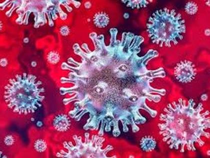 Sarangkheda couple took 32 positive swabs to Indore | सारंगखेड्याचे दाम्पत्य इंदूरला पॉझिटिव्ह ३२ जणांचे घेतले स्वॅब Sarangkheda couple took 32 positive swabs to Indore | सारंगखेड्याचे दाम्पत्य इंदूरला पॉझिटिव्ह ३२ जणांचे घेतले स्वॅब