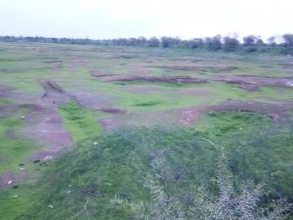  Due to the rains in the Nyayadongri area, the life of the crop is dry but the dam is dry | न्यायडोंगरी परिसरात पावसामुळे पिकांना जीवदान