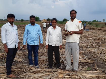 Panchanam of crops in Manori area | मानोरी परिसरातील पिकांचे पंचनामे