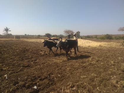 Velocity of non-monsoon farming | मान्सूनपूर्व शेतीकामांना वेग