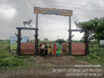 Tourist selfie point in the reserved forest conservation area | राखीव वन संवर्धन क्षेत्रामध्ये पर्यटकांचा सेल्फी पाइंट