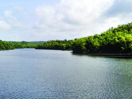 Ratnagiri: Water problem of Guhaagar due to dam construction, drinking water throughout the year | रत्नागिरी : धरणामुळे सुटला गुहागरचा पाणीप्रश्न, वर्षभर पिण्याचे पाणी