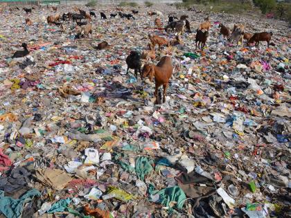  Civil garbage depot in Chaugaon Birdi area | चौगाव बर्डी परिसरातील नागरिक कचरा डेपोमुळे त्रस्त