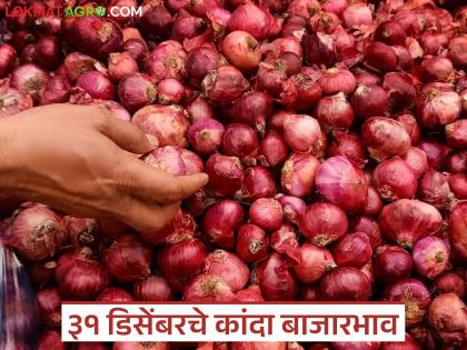 Latest News Kanda bajarbhav Onion market prices on December 31st see details | Kanda Bajarbhav : वर्षाच्या शेवटी म्हणजेच 31 डिसेंबरला कांद्याला काय दर मिळाले, वाचा सविस्तर Latest News Kanda bajarbhav Onion market prices on December 31st see details | Kanda Bajarbhav : वर्षाच्या शेवटी म्हणजेच 31 डिसेंबरला कांद्याला काय दर मिळाले, वाचा सविस्तर