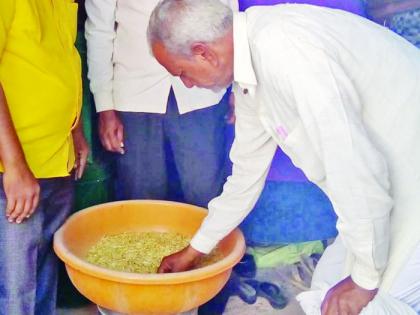 Organic wheat from Ladegaon reaches overseas | लाडेगाव येथील सेंद्रिय गहू पोहोचला सातासमुद्रापार 