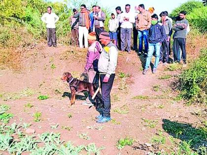 The death of the guard in the thieves attack | चोरट्यांच्या हल्ल्यात राखणदाराचा मृत्यू