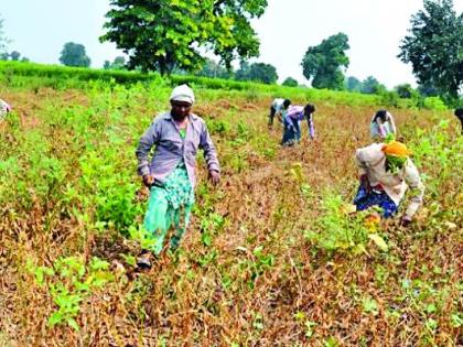 Eventually the entire district was declared drought-prone | अखेर संपूर्ण जिल्हाच दुष्काळग्रस्त घोषित