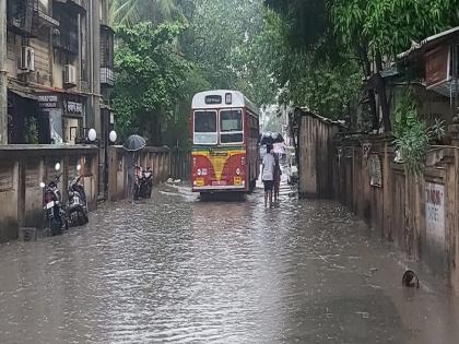 Rainy Super Sunday in Panvel; Batting all day | पनवेलमध्ये पावसाचा सुपर संडे; दिवसभर बॅटिंग