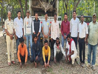 Five people arrested for smuggling live wild boars | जिवंत रानडुकरांची तस्करी करणारे पाच जण ताब्यात