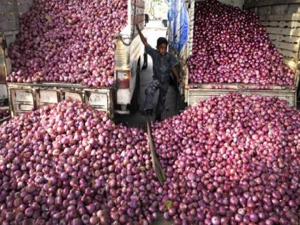 200 containers held at JNPA port due to central government's 40 percent duty hike on onion exports | केंद्र सरकारच्या कांदा निर्यातीच्या ४० टक्के शुल्क वाढीमुळे जेएनपीए बंदरात २०० कंटेनर होल्डवर