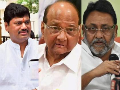 Nilesh Rane Target NCP Sharad Pawar over Dhananjay Munde & Nawab Malik Allegation | “जितके गुन्हेगार एका जेलमध्ये नसतील तितके राष्ट्रवादी काँग्रेस या पक्षात आहेत”