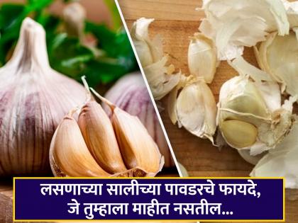 How to prepare seasoning powder of garlic peels, Know its benefits | लसणाची साल फेकून करत आहात चूक, त्याच्या पावडरचे फायदे वाचून व्हाल अवाक्...