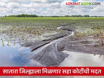 Satara district will receive assistance of more than six crores; 11 thousand farmers of 4219 hectares affected by heavy rains | सातारा जिल्ह्याला मिळणार सहा कोटींहून अधिक रकमेची मदत; ४२१९ हेक्टर क्षेत्राच्या ११ हजार शेतकऱ्यांना अतिवृष्टीचा फटका Satara district will receive assistance of more than six crores; 11 thousand farmers of 4219 hectares affected by heavy rains | सातारा जिल्ह्याला मिळणार सहा कोटींहून अधिक रकमेची मदत; ४२१९ हेक्टर क्षेत्राच्या ११ हजार शेतकऱ्यांना अतिवृष्टीचा फटका