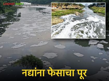 Foam floods Mula, Pavana rivers; Environmental organizations protest administration for releasing chemical-laden water into the river | मुळा, पवना नद्यांना फेसाचा पूर; रसायनयुक्त पाणी नदीत सोडल्याने पर्यावरणवादी संघटनांकडून प्रशासनाचा निषेध Foam floods Mula, Pavana rivers; Environmental organizations protest administration for releasing chemical-laden water into the river | मुळा, पवना नद्यांना फेसाचा पूर; रसायनयुक्त पाणी नदीत सोडल्याने पर्यावरणवादी संघटनांकडून प्रशासनाचा निषेध