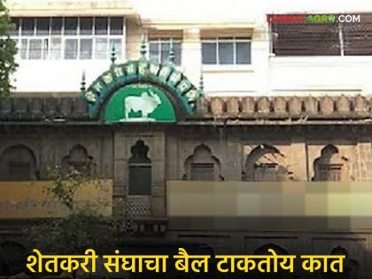 Farmers' union turnover increases by Rs 24 crore; 60 out of 64 branches turned profitable by the end of March | शेतकरी संघाच्या उलाढालीत २४ कोटींची वाढ; मार्चअखेर ६४ पैकी ६० शाखा आल्या नफ्यात Farmers' union turnover increases by Rs 24 crore; 60 out of 64 branches turned profitable by the end of March | शेतकरी संघाच्या उलाढालीत २४ कोटींची वाढ; मार्चअखेर ६४ पैकी ६० शाखा आल्या नफ्यात