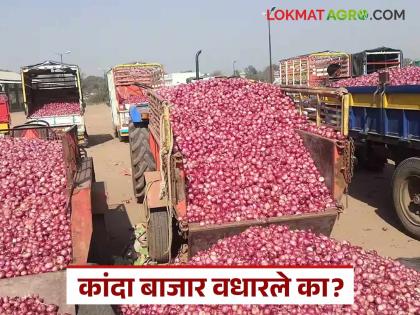 Highest summer onion arrival in Parner market of Ahilyanagar district today; Read today's onion market price | अहिल्यानगर जिल्ह्याच्या पारनेर बाजारात आज सर्वाधिक उन्हाळ कांदा आवक; वाचा आजचे कांदा बाजारभाव Highest summer onion arrival in Parner market of Ahilyanagar district today; Read today's onion market price | अहिल्यानगर जिल्ह्याच्या पारनेर बाजारात आज सर्वाधिक उन्हाळ कांदा आवक; वाचा आजचे कांदा बाजारभाव