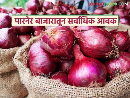 Summer in Parner, highest arrival of red onion in Solapur market; Read what is the price being offered | पारनेर मध्ये उन्हाळ तर सोलापूर बाजारात सर्वाधिक लाल कांद्याची आवक; वाचा काय मिळतोय दर Summer in Parner, highest arrival of red onion in Solapur market; Read what is the price being offered | पारनेर मध्ये उन्हाळ तर सोलापूर बाजारात सर्वाधिक लाल कांद्याची आवक; वाचा काय मिळतोय दर