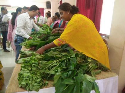 The crowd of citizens is less in Chiplun wild vegetable festival, Vegetables were bought by officers and employees | चिपळूणच्या रानभाज्या महोत्सवाकडे अनेकांची पाठ; अधिकारी-कर्मचाऱ्यांनीच खरेदी केल्या भाज्या 