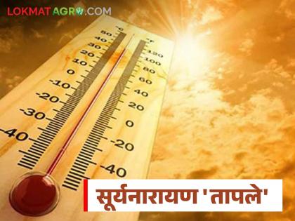 Vidarbha's mercury rises by 5 degrees; Akola district is the hottest, while the heat will remain for 8 days | विदर्भाचा पारा ५ अंशांनी वाढला; अकोला जिल्हा सर्वाधिक 'हॉट', ८ दिवस राहणार तडाखा Vidarbha's mercury rises by 5 degrees; Akola district is the hottest, while the heat will remain for 8 days | विदर्भाचा पारा ५ अंशांनी वाढला; अकोला जिल्हा सर्वाधिक 'हॉट', ८ दिवस राहणार तडाखा