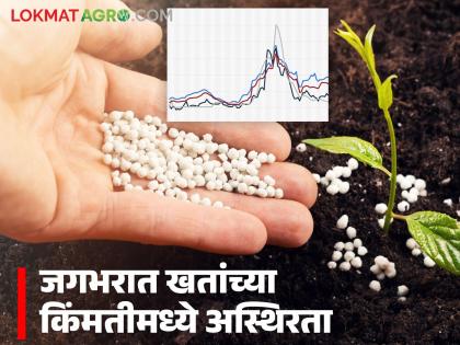 Iran tensions; likely to impact India's fertilizer import costs and government subsidies | इराण तणाव; भारताच्या खत आयात खर्चावर आणि सरकारी अनुदानावर परिणाम होण्याची शक्यता Iran tensions; likely to impact India's fertilizer import costs and government subsidies | इराण तणाव; भारताच्या खत आयात खर्चावर आणि सरकारी अनुदानावर परिणाम होण्याची शक्यता