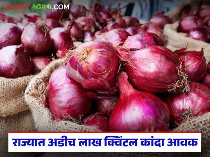 Highest red onion arrival in Solapur market; Read today's onion market price | सोलापूर बाजारात सर्वाधिक लाल कांदा आवक; वाचा आजचे कांदा बाजारभाव Highest red onion arrival in Solapur market; Read today's onion market price | सोलापूर बाजारात सर्वाधिक लाल कांदा आवक; वाचा आजचे कांदा बाजारभाव