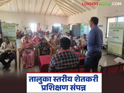Taluka level farmer training completed by Nandgaon Agriculture Department; KVK experts provided guidance | नांदगाव कृषी विभागाच्या वतीने तालुका स्तरीय शेतकरी प्रशिक्षण संपन्न; केव्हिकेच्या तज्ञांनी केले मार्गदर्शन Taluka level farmer training completed by Nandgaon Agriculture Department; KVK experts provided guidance | नांदगाव कृषी विभागाच्या वतीने तालुका स्तरीय शेतकरी प्रशिक्षण संपन्न; केव्हिकेच्या तज्ञांनी केले मार्गदर्शन
